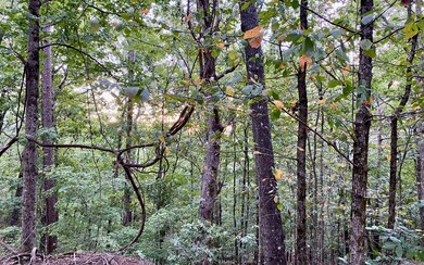 Additional View