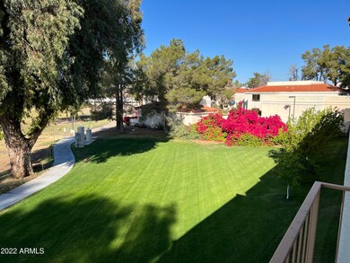 Back Covered Patio 2