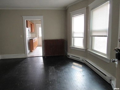 1701 25th St unit 4, Rock Island, IL 61201 - photo 4