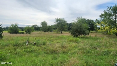 8479 SE 30th St, Baxter Springs, KS 66713 - photo 4