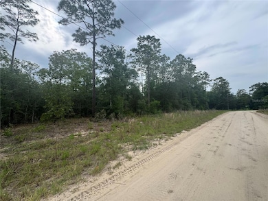 TBD SW 159th Ct, Ocala, FL 34481 - photo 3