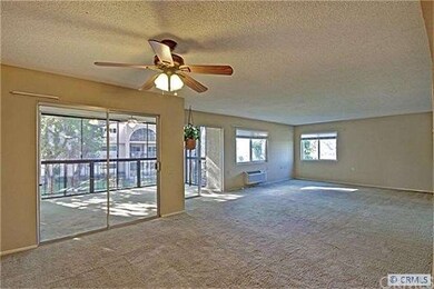 Dining/Living Room