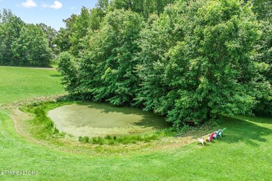POND