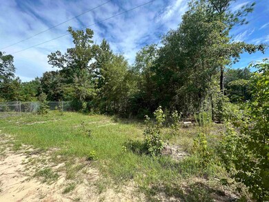 View of nature