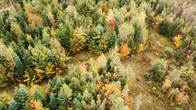 dji_fly_20231006_112752_85_1696606376704