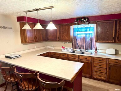 414 E Monroe Ave, Farina, IL 62838 - photo 6