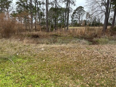 View of small pond