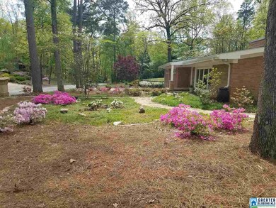 Plentiful perennials!!!