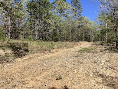 0 Chaparral Ln unit 24298349, Mena, AR 71953 - photo 5