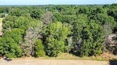 dji_fly_20240712_092758_500_172079457337