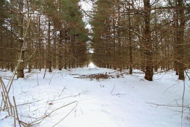 3509-3657 S 950 W, Mentone, IN 46539 - photo 3