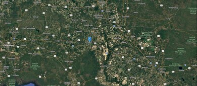 644 S Duval Ave, Madison, FL 32340 - photo 5