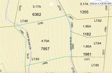 63 Deer Run, Purlear, NC 28665 - photo 4