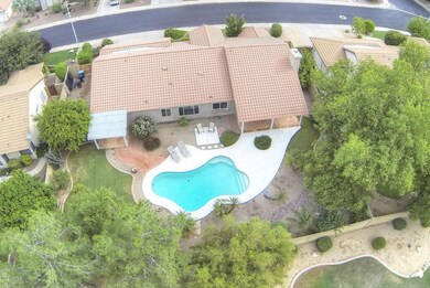 Sky View Rear
