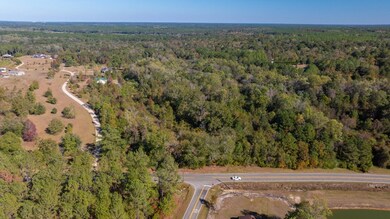 00 State Route 188, Cairo, GA 39827 - photo 4