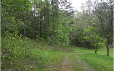 Additional View