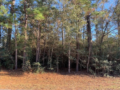 Lot 111, Block 8 Clear Creek Forest Sec 11, Magnolia, TX 77355 - photo 3