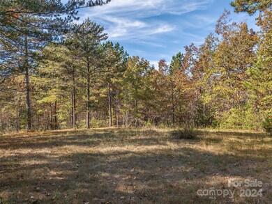 00 River Park Ln unit 27, White Oak, NC 28756 - photo 2