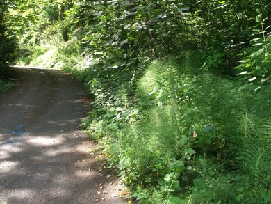 47 W Mercer Way, Mercer Island, WA 98040 - photo 4