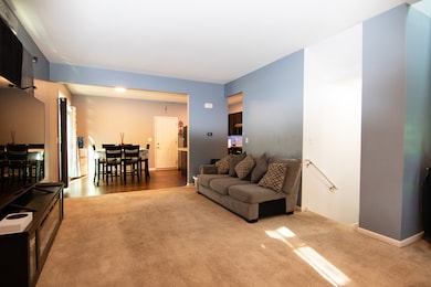 3619 Daisy Ln, Elgin, IL 60124 - photo 5