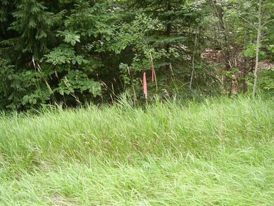 Survey Stake M-72