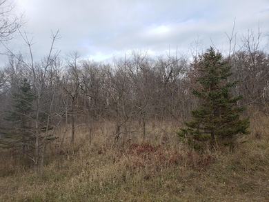 Lot 2 & 3 County Road M 202nd St, Alden Township, WI 54026 - photo 4