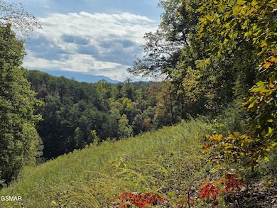 1009 Franklin Ln, Sevierville, TN 37876 - photo 2