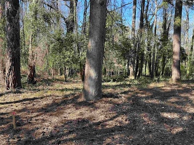 611330-B05747E3-D8FE-47FF-8DD1-598A22F0D