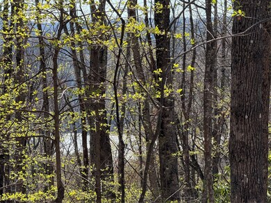 lot 22 Bright Mountain Rd, Cullowhee, NC 28723 - photo 6