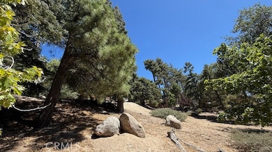 0 Piedras Grande unit IV25186085, Green Valley Lake, CA 92341 - photo 6