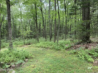 160 Five Mile Meadow Rd, Dingmans Ferry, PA 18328 - photo 6