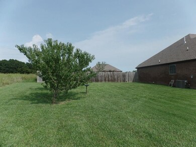14908 Tikaani Dr, Siloam Springs, AR 72761 - photo 4