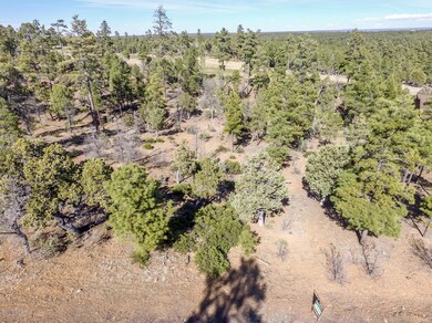 DJI_0036-1
