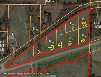 Lot 8