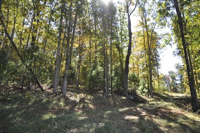 _DSC0004