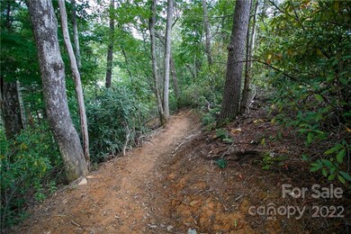 Private trail to the river from the home site