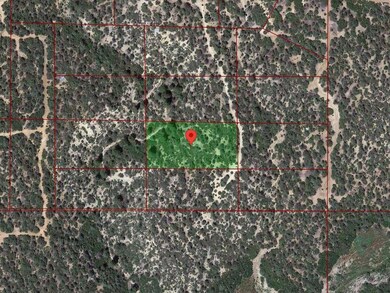 Google Earth Approx Outline