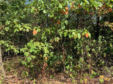 Lot 17 Carmarthen Ln, Bella Vista, AR 72715 - photo 2