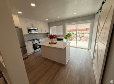 Kitchen with a barn door, stainless steel appliances, white cabinetry, recessed lighting, and wood finished floors