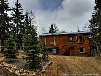 38 Grebe Ln, Como, CO 80432 - photo 4