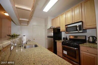 46582 Drysdale Terrace unit 102, Sterling, VA 20165 - photo 4