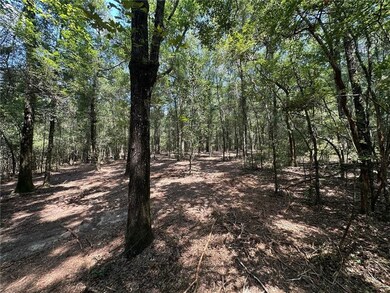 Danner Dr, Wilmer, AL 36587 - photo 3