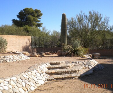 Back yard