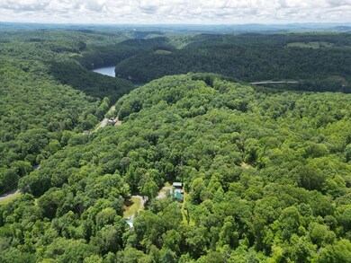 2129 Canvas Nettie Rd unit 2129, Summersville, WV 26651 - photo 5