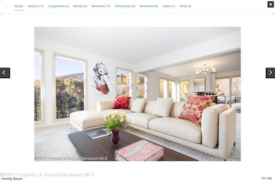 244 Medicine Bow Rd, Aspen, CO 81611 - photo 3