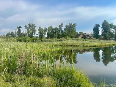 1105 Little River Ln unit 83, Poncha Springs, CO 81242 - photo 5