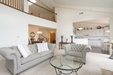 14130 Sheffield Dr unit 401, Homer Glen, IL 60491 - photo 7