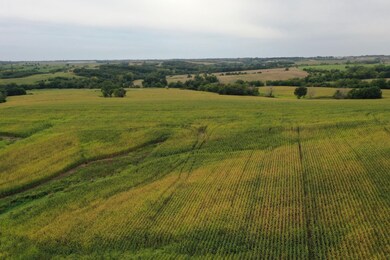 28664 E 110th St, Blythedale, MO 64426 - photo 3