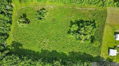 11356 Herman Guedry Rd, Gonzales, LA 70737 - photo 7