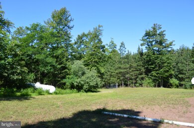 243 Swaim Ln, Berkeley Springs, WV 25411 - photo 7